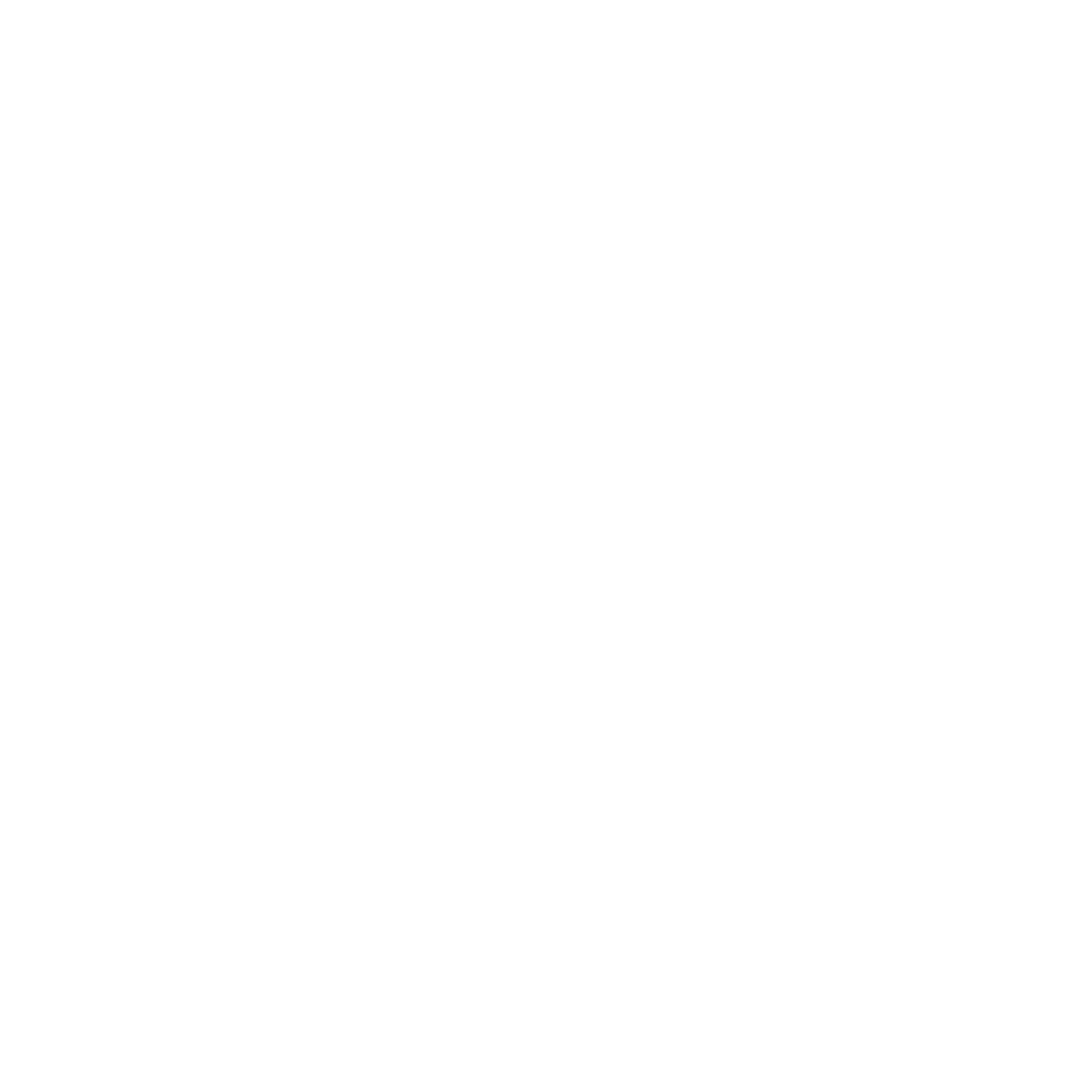 The Instagram Logo.